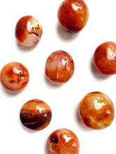 Load image into Gallery viewer, Carnelian Palms
