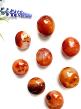 Load image into Gallery viewer, Carnelian Palms
