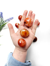 Load image into Gallery viewer, Carnelian Palms
