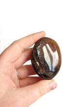 Load image into Gallery viewer, Black Moonstone Palm Stone
