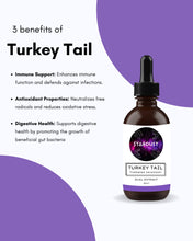 Load image into Gallery viewer, Turkey Tail Tincture | IMMUNITY
