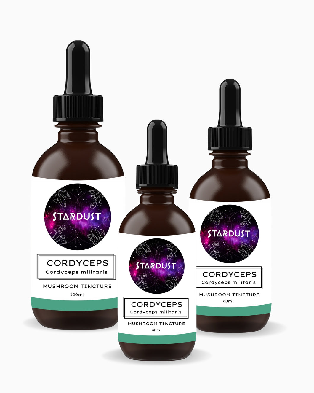 Cordyceps Tincture | ENERGISE