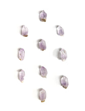 Load image into Gallery viewer, Vera Cruz Amethyst
