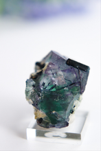 Load image into Gallery viewer, Erongo Fluorite
