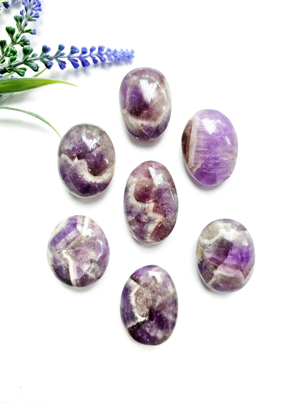 Dream Amethyst Palms