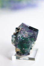 Load image into Gallery viewer, Erongo Fluorite
