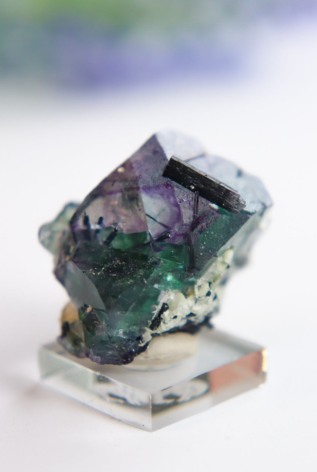 Erongo Fluorite