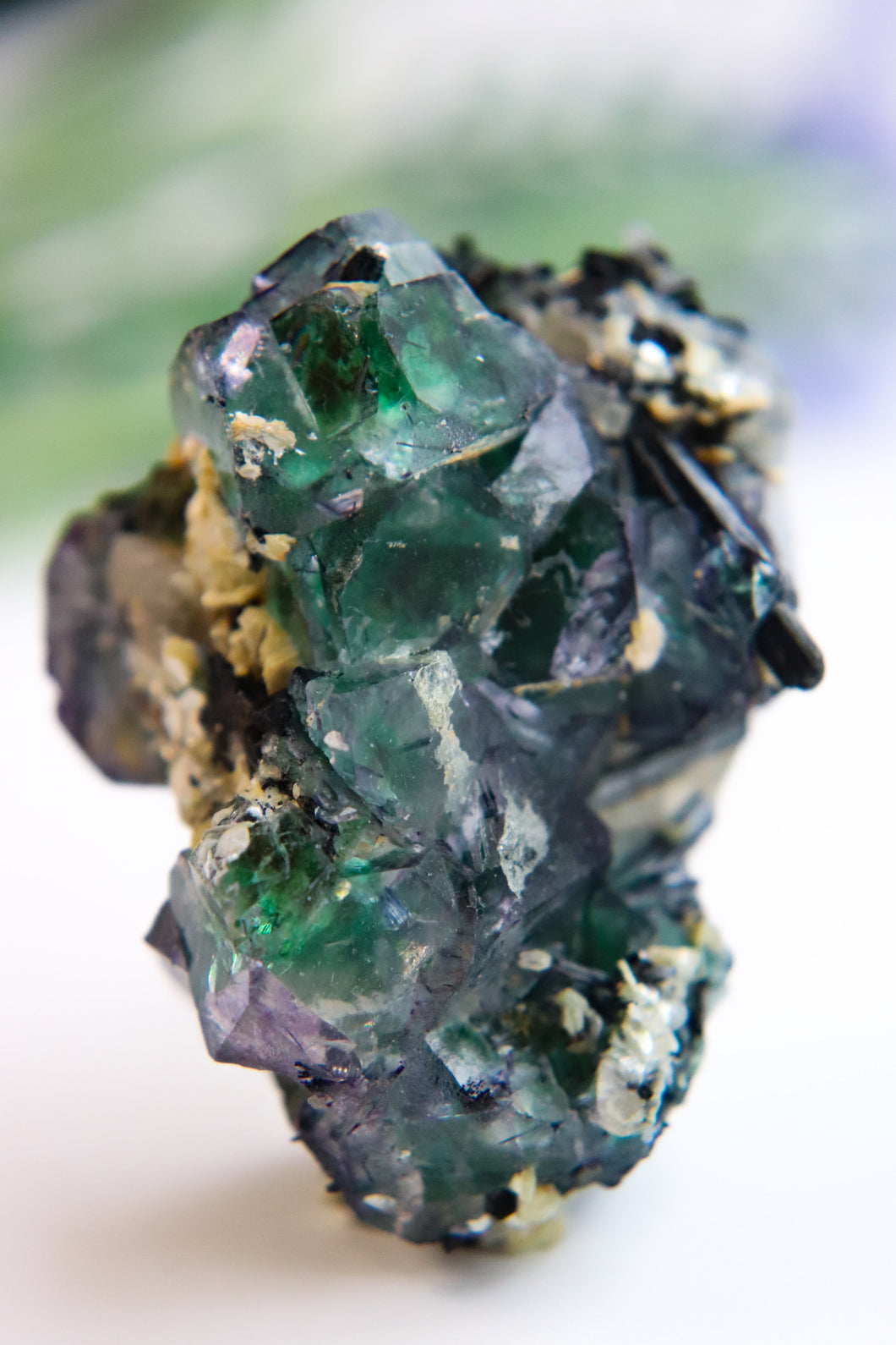 Erongo Fluorite