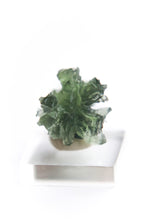 Load image into Gallery viewer, Besednice Moldavite
