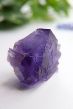 Load image into Gallery viewer, Berbes Fluorite
