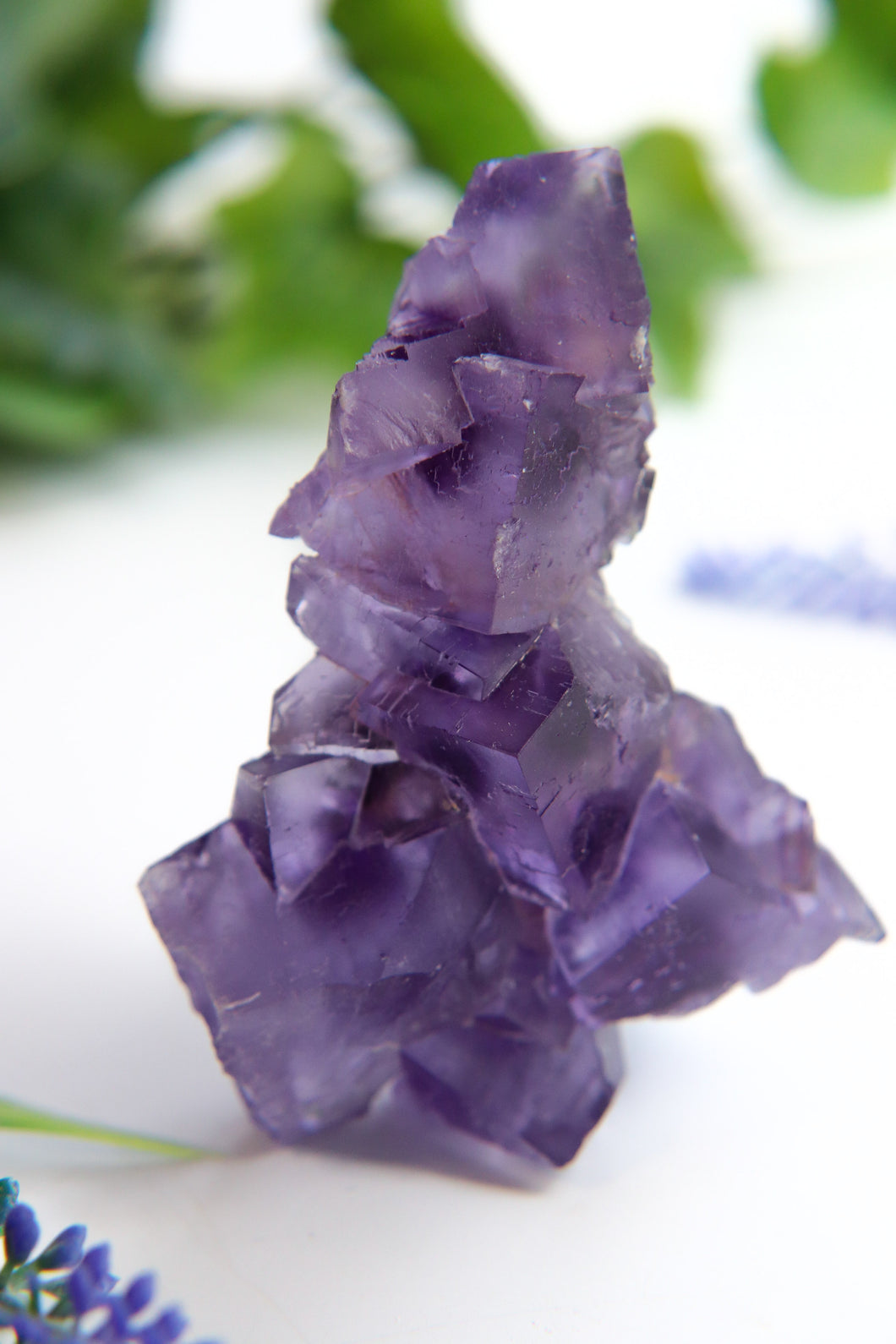 Berbes Fluorite