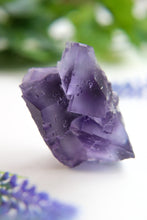 Load image into Gallery viewer, Berbes Fluorite
