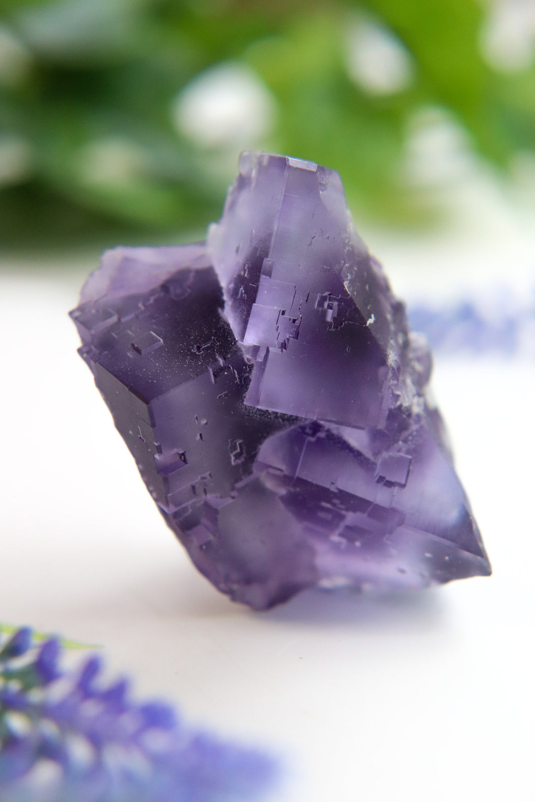 Berbes Fluorite