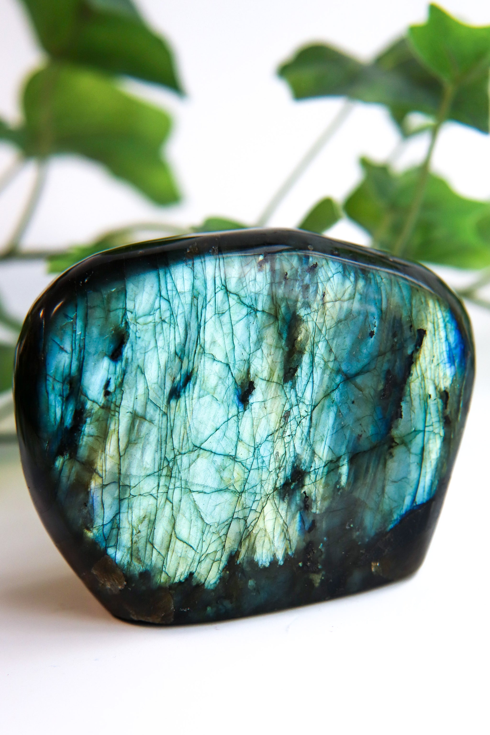 Labradorite authentic freeform