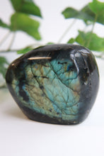 Load image into Gallery viewer, Labradorite Freeform
