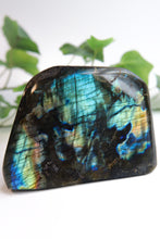 Load image into Gallery viewer, Labradorite Freeform
