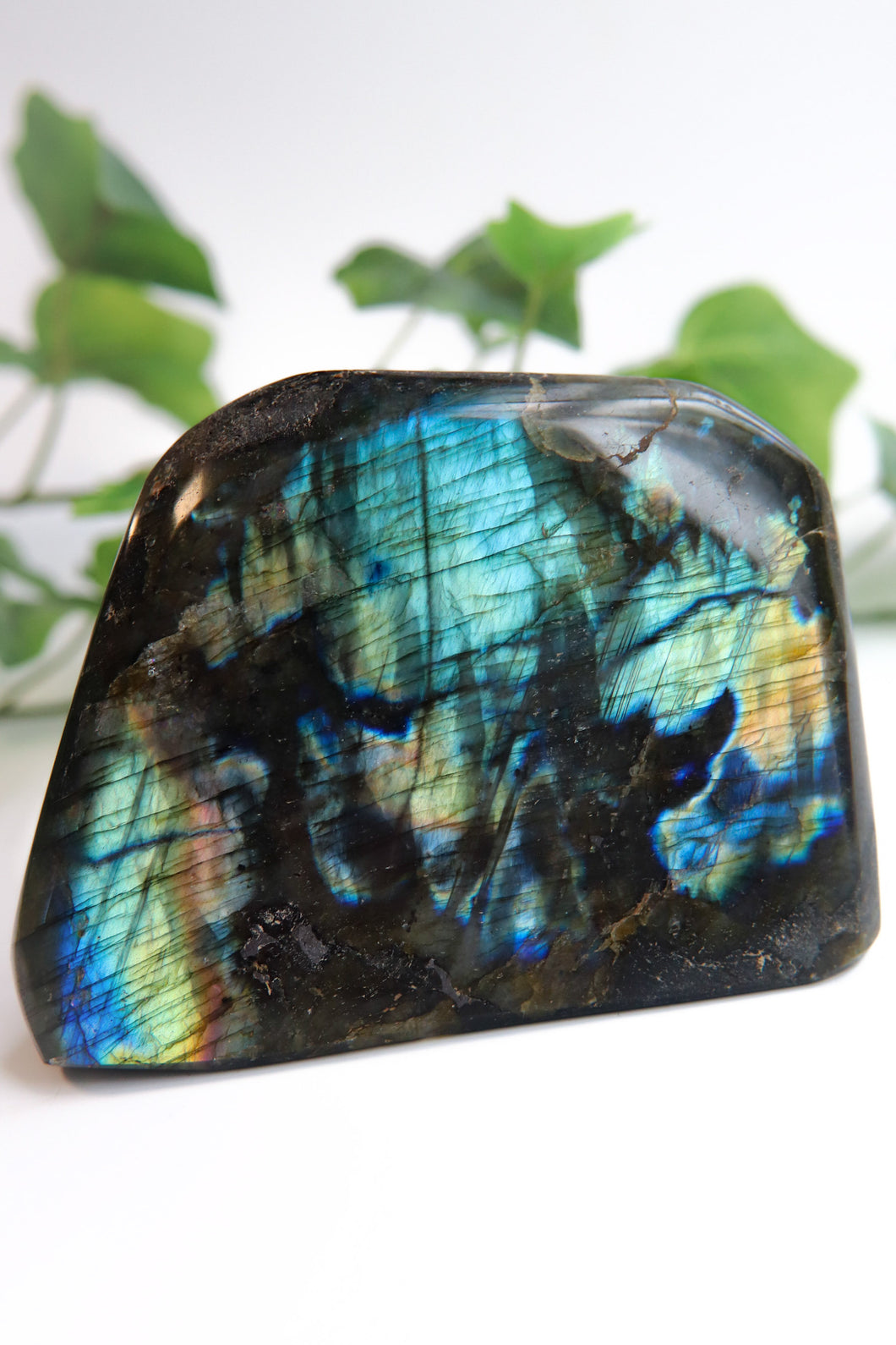 Labradorite Freeform