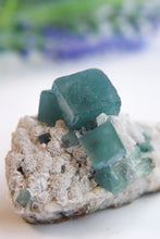 Load image into Gallery viewer, Blue Green Cubic Fluorite on Candle Quartz
