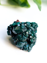 Load image into Gallery viewer, Dioptase
