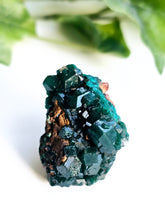 Load image into Gallery viewer, Dioptase
