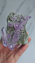 Load and play video in Gallery viewer, Vera Cruz Amethyst
