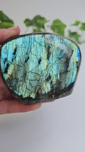 Load and play video in Gallery viewer, Labradorite Freeform
