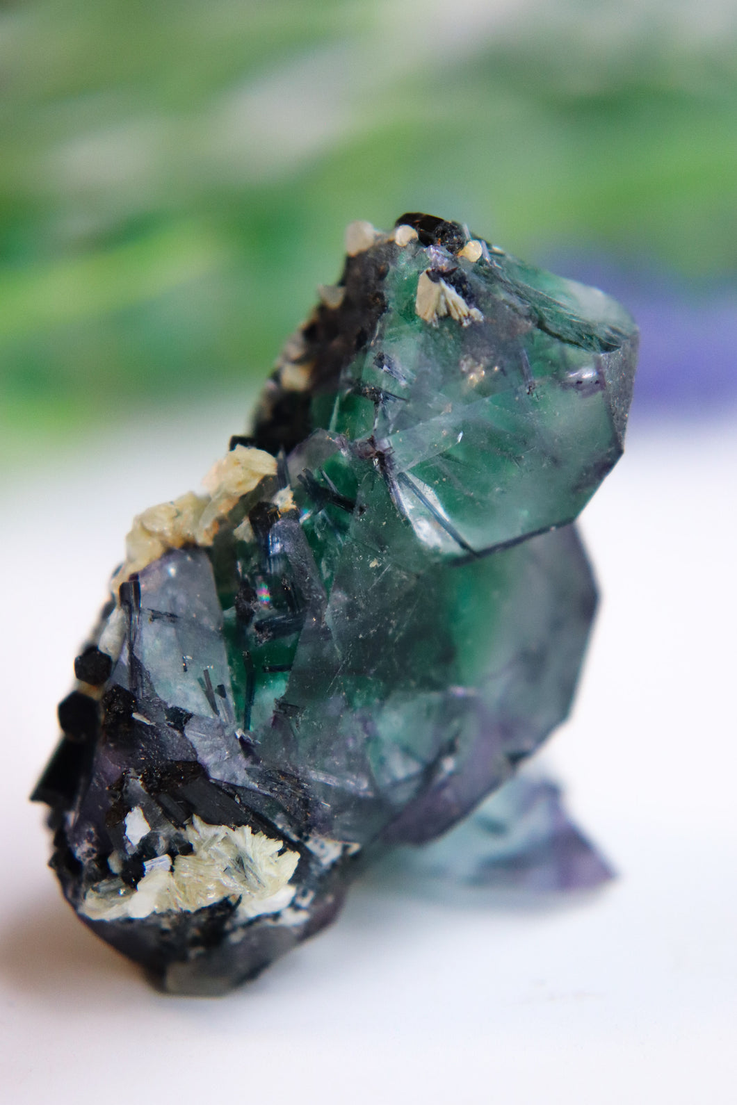 Erongo Fluorite