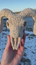 Load and play video in Gallery viewer, Ram Skull (3D Printed)
