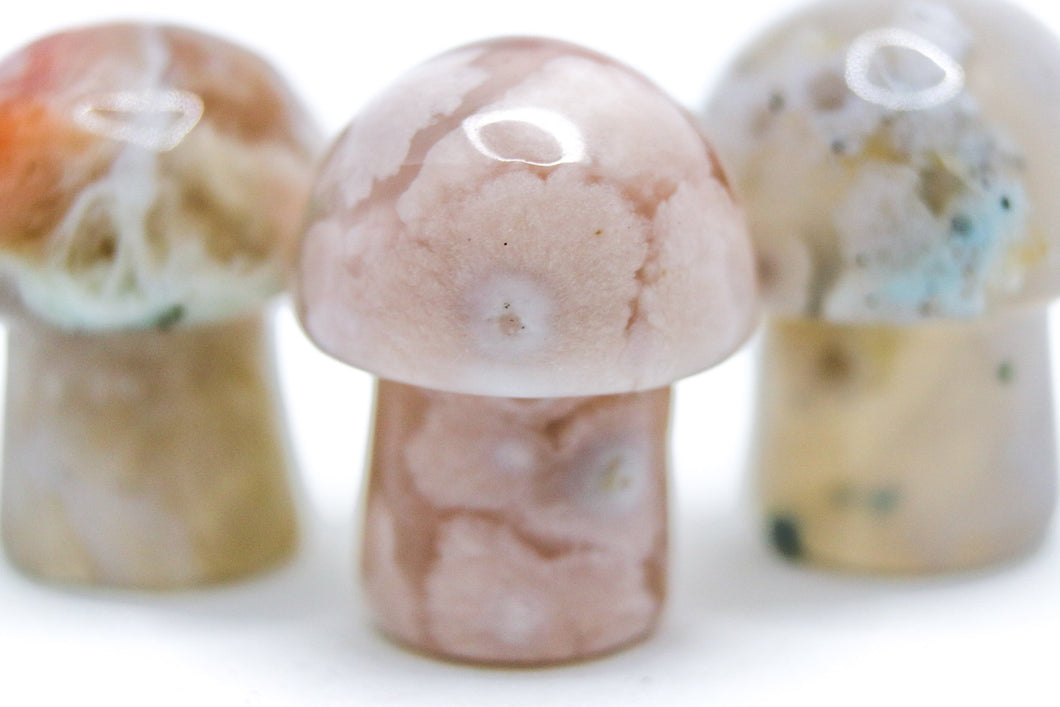 Flower Agate Mushroom