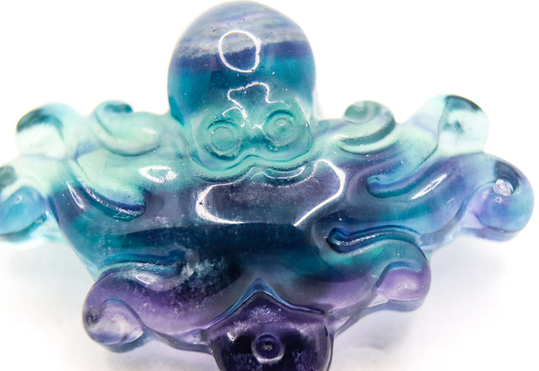 Fluorite Octopus