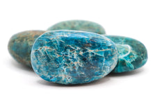 Load image into Gallery viewer, Apatite Palm Stone
