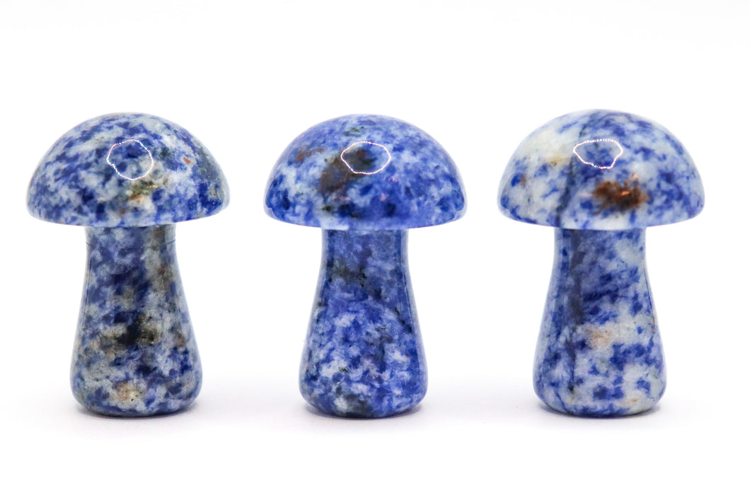 Sodalite Mushroom