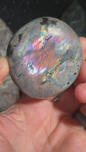 Load and play video in Gallery viewer, Labradorite Palm Stones (Rainbow Flash)
