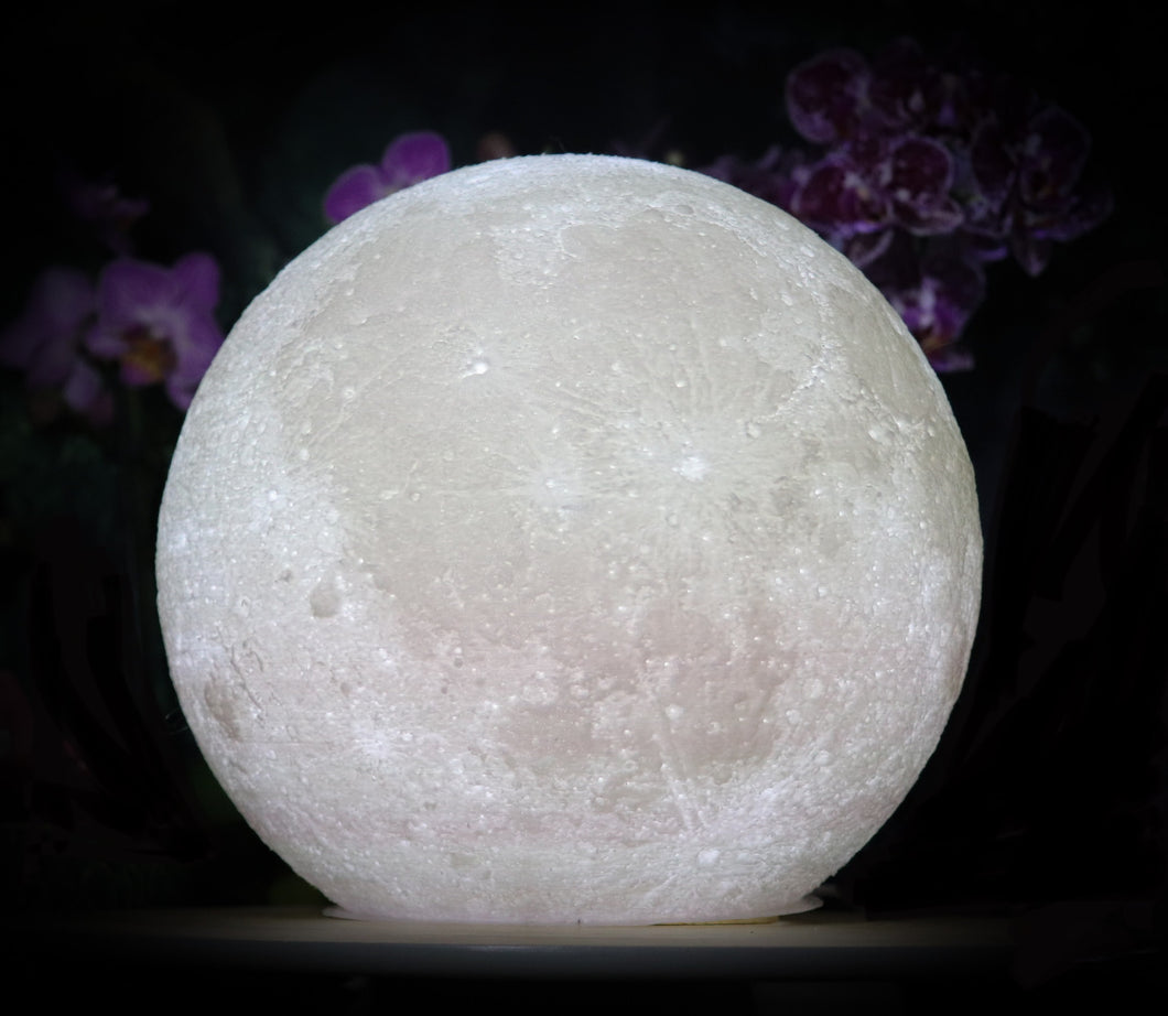 3D Printed Moon Replica Lamp